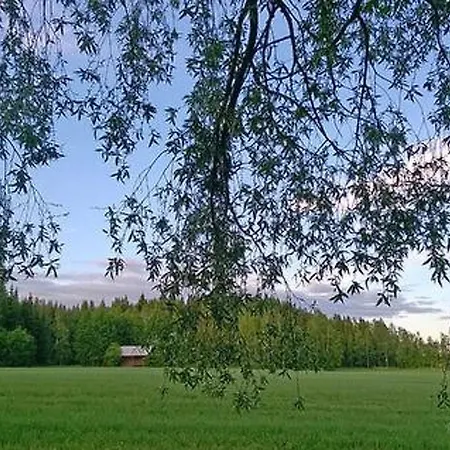 Holiday Hilupilttuu